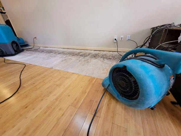 Professional Water Damage Repair technician working in Zachary, LA